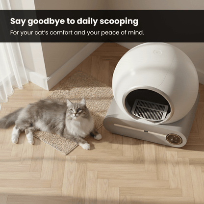 Self Cleaning Litter Box