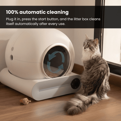 Self Cleaning Litter Box