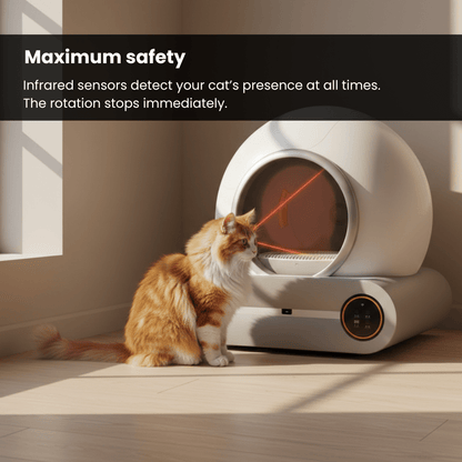 Self Cleaning Litter Box