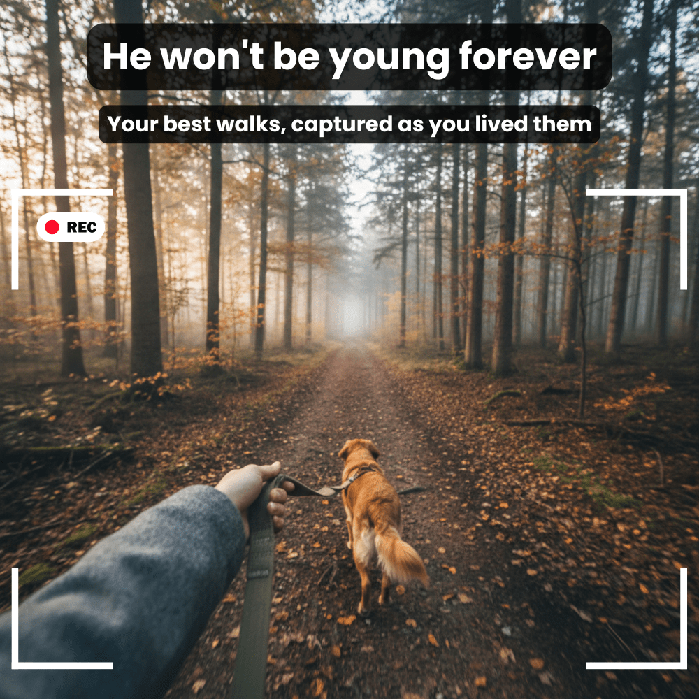 Action Camera - 4K POV