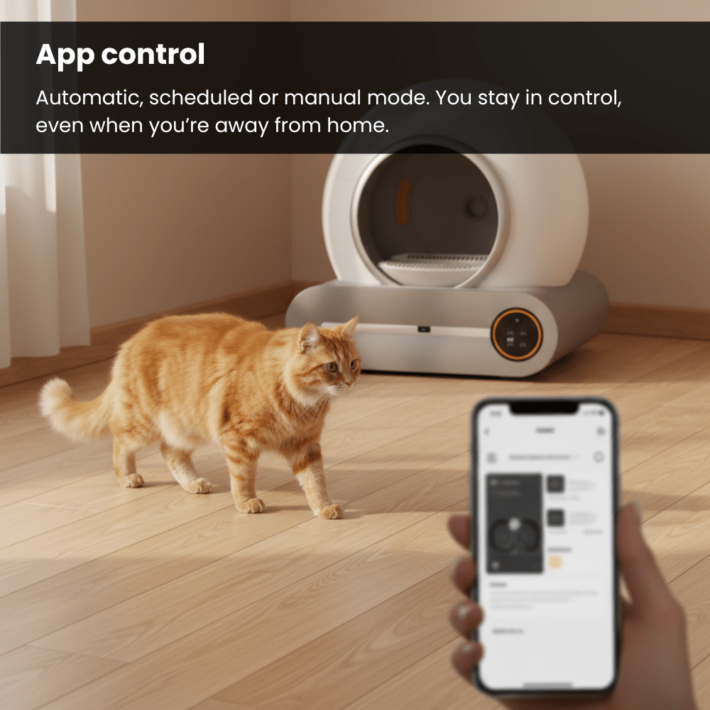 Self Cleaning Litter Box