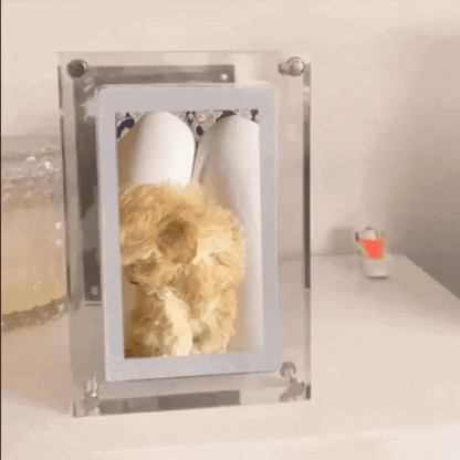 The Digital Frame That Plays Your Photos & Videos